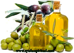Aceite de olivo jesus vive